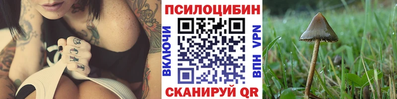 Псилоцибиновые грибы Psilocybe  хочу наркоту  Маркс 